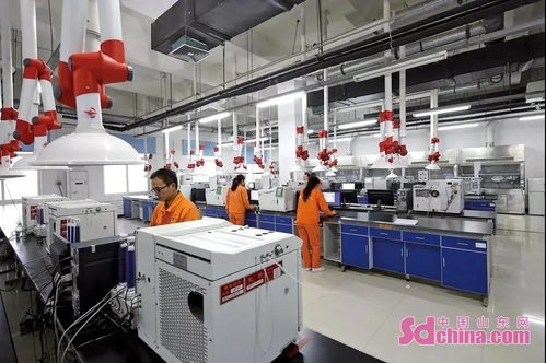 東明石化穩居行業前列 百強榜單第四彰顯實力，新型膜材料布局引領未來