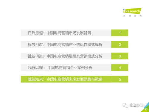 2020中國電商市場營銷研究報告 市場經(jīng)營策劃與增長策略